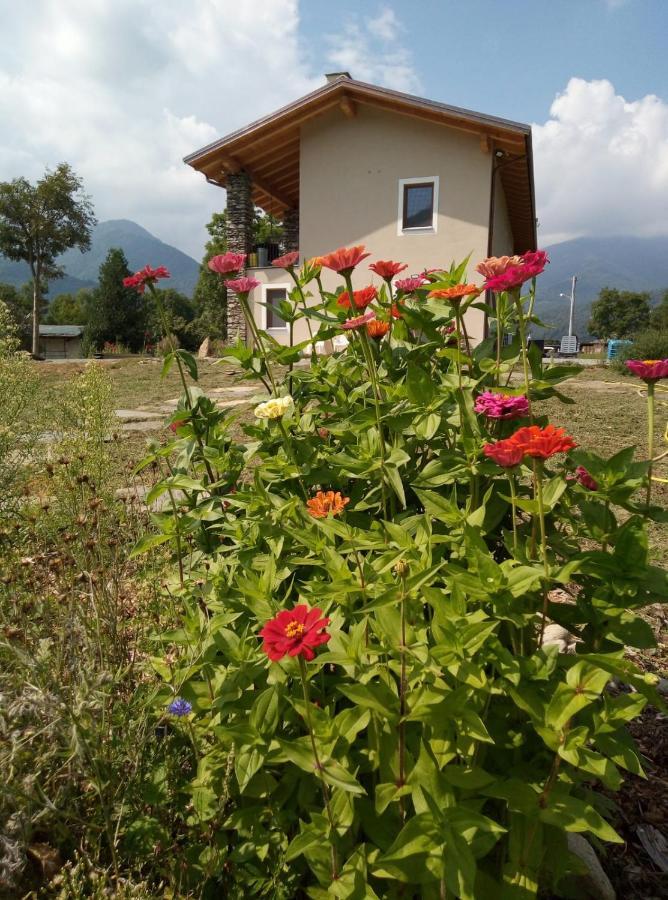 Paesana Semi Al Vento: La Bio-Casa Nel Giardino Incantato! 아파트 외부 사진