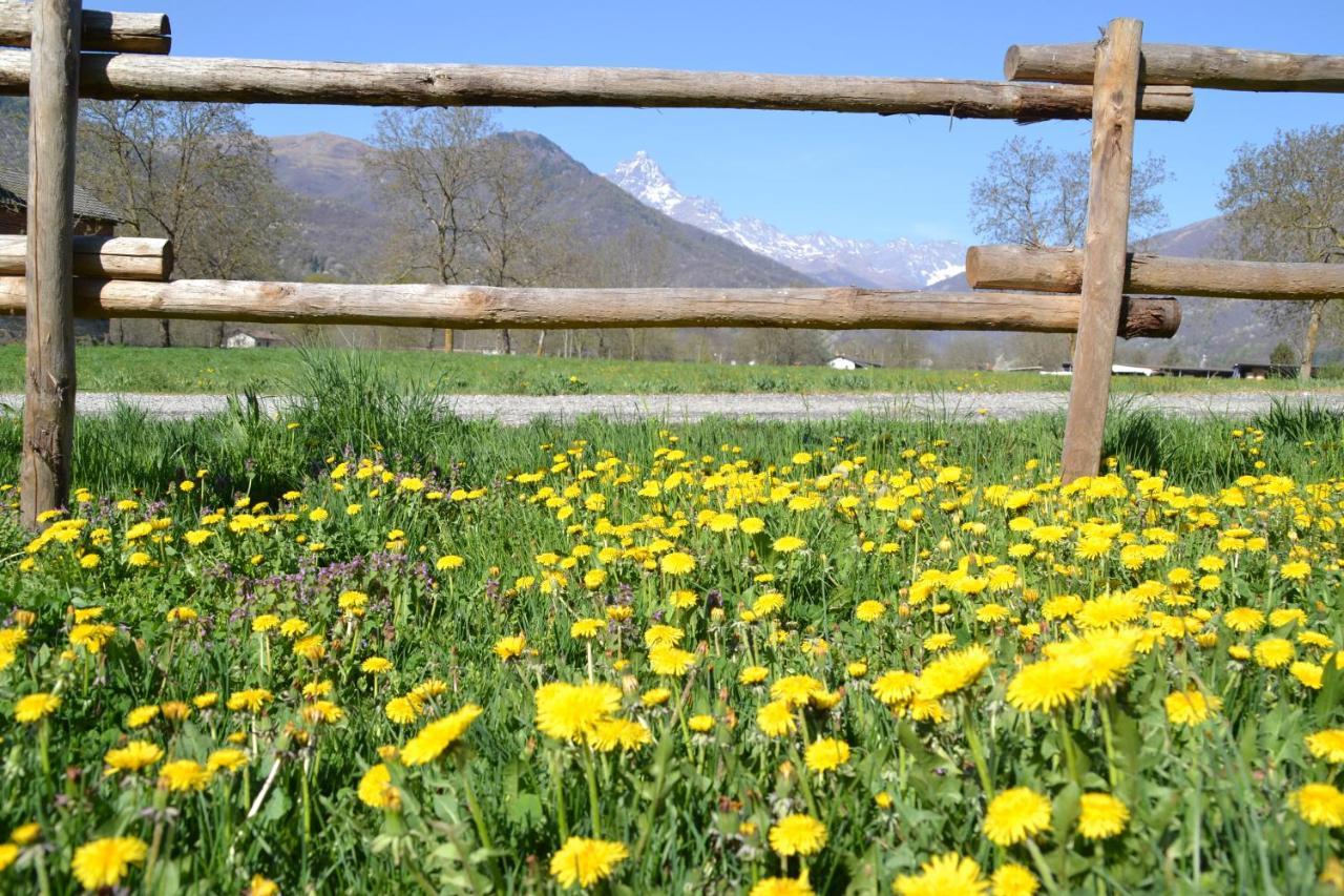Paesana Semi Al Vento: La Bio-Casa Nel Giardino Incantato! 아파트 외부 사진