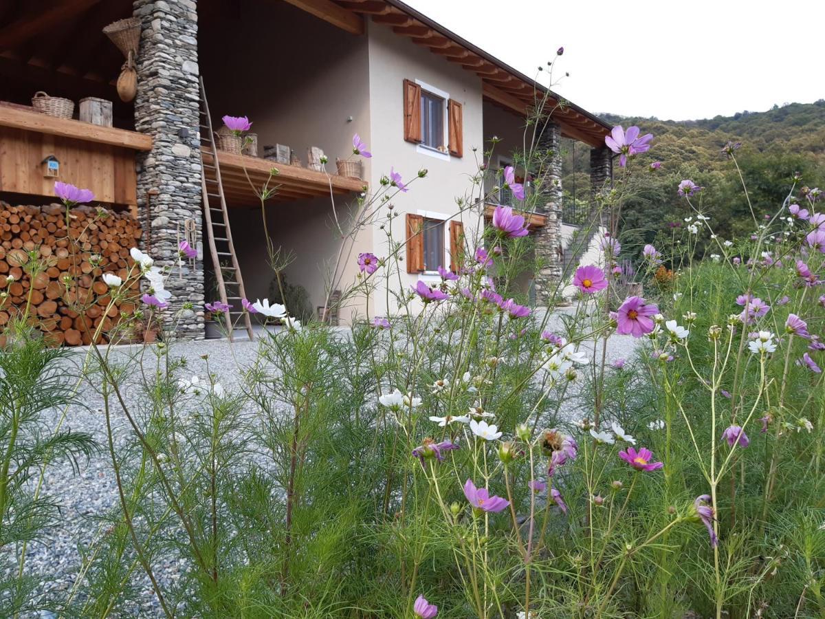 Paesana Semi Al Vento: La Bio-Casa Nel Giardino Incantato! 아파트 외부 사진