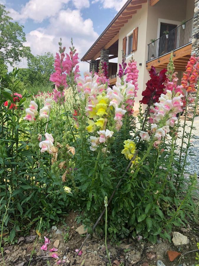 Paesana Semi Al Vento: La Bio-Casa Nel Giardino Incantato! 아파트 외부 사진