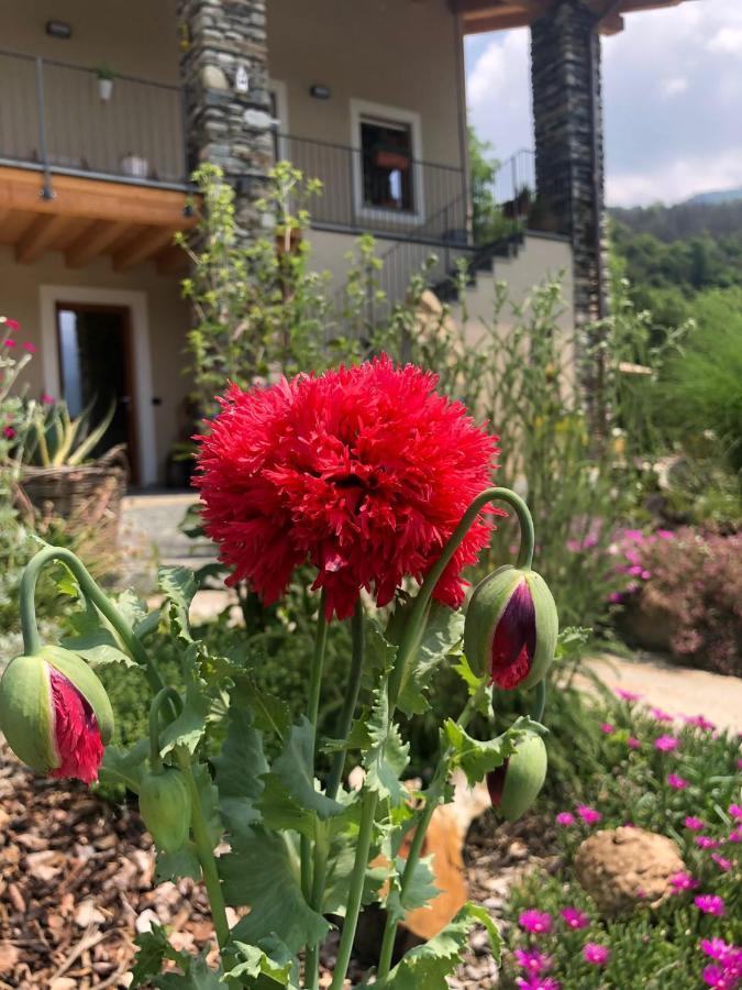 Paesana Semi Al Vento: La Bio-Casa Nel Giardino Incantato! 아파트 외부 사진