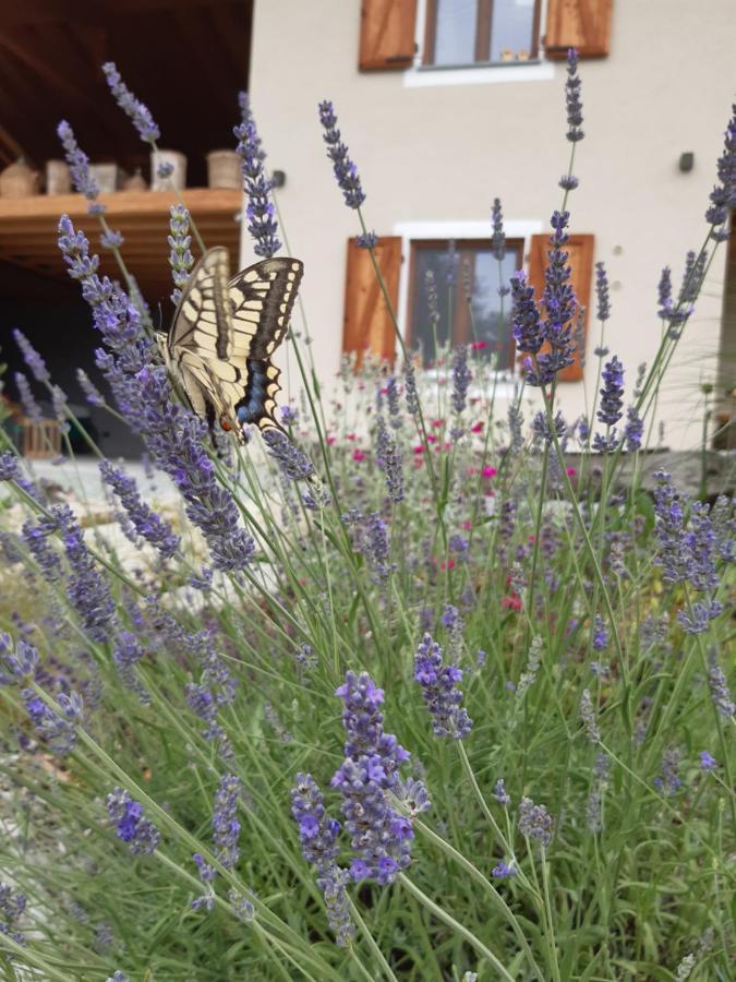 Paesana Semi Al Vento: La Bio-Casa Nel Giardino Incantato! 아파트 외부 사진